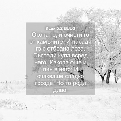 Picture 04 - Исая 5:2 BULG - Окопа го, и очисти го от - Bible Verse Picture