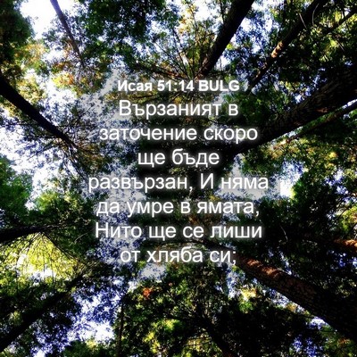 Picture 04 - Исая 51:14 BULG - Вързаният в заточение - Bible Verse Picture