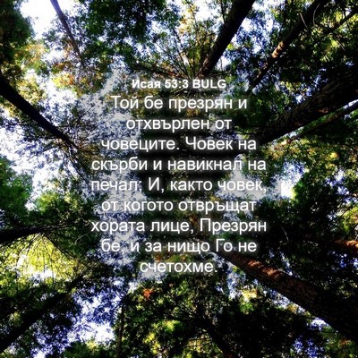 Picture 04 - Исая 53:3 BULG - Той бе презрян и отхвърлен - Bible Verse Picture
