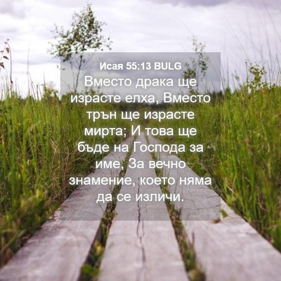 Picture 04 - Исая 55:13 BULG - Вместо драка ще израсте - Bible Verse Picture