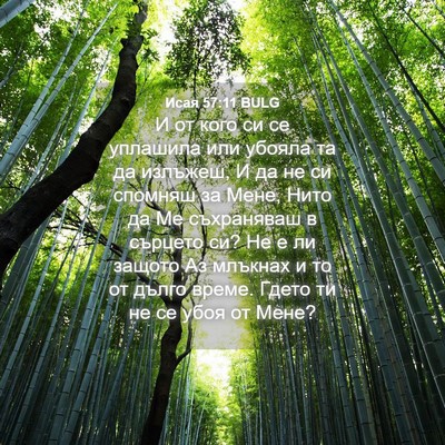 Picture 04 - Исая 57:11 BULG - И от кого си се уплашила - Bible Verse Picture