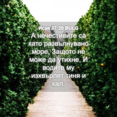 Picture 04 - Исая 57:20 BULG - А нечестивите са като - Bible Verse Picture