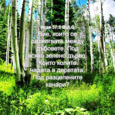 Picture 04 - Исая 57:5 BULG - Вие, които се разжегвате - Bible Verse Picture