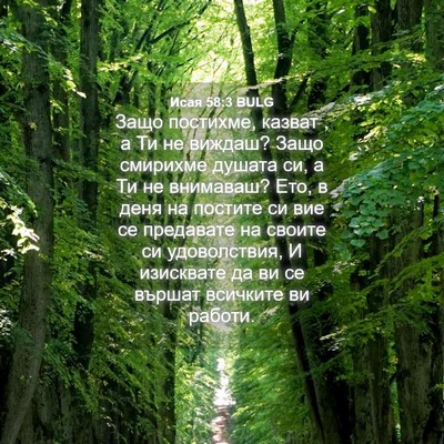Picture 04 - Исая 58:3 BULG - Защо постихме, казват , а Ти - Bible Verse Picture