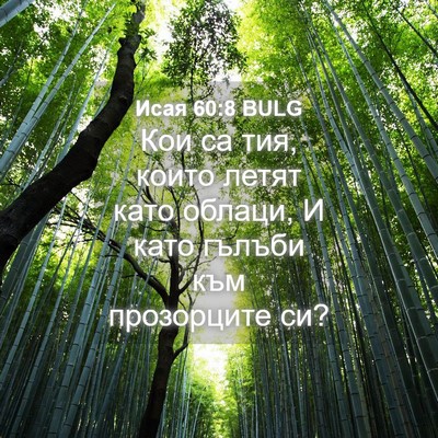 Picture 04 - Исая 60:8 BULG - Кои са тия, които летят - Bible Verse Picture