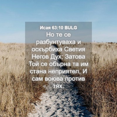 Picture 04 - Исая 63:10 BULG - Но те се разбунтуваха и - Bible Verse Picture