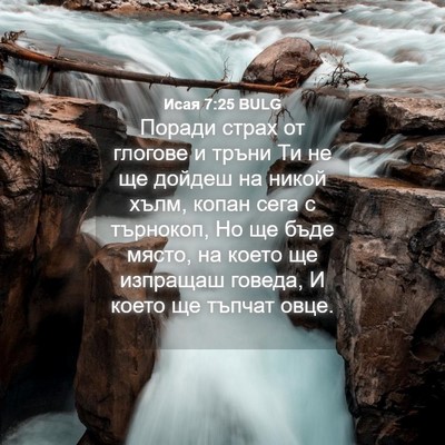 Picture 04 - Исая 7:25 BULG - Поради страх от глогове и - Bible Verse Picture