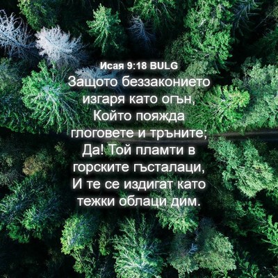 Picture 04 - Исая 9:18 BULG - Защото беззаконието - Bible Verse Picture
