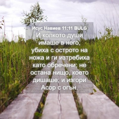 Picture 04 - Исус Навиев 11:11 BULG - И колкото души имаше в - Bible Verse Picture