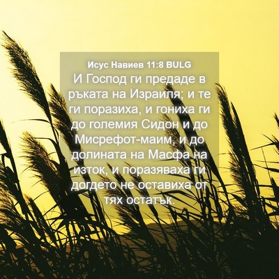 Picture 04 - Исус Навиев 11:8 BULG - И Господ ги предаде в - Bible Verse Picture