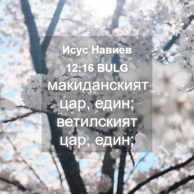 Picture 04 - Исус Навиев 12:16 BULG - макиданският цар, един; - Bible Verse Picture