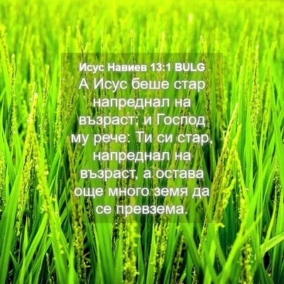 Picture 04 - Исус Навиев 13:1 BULG - А Исус беше стар напреднал - Bible Verse Picture