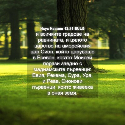 Picture 04 - Исус Навиев 13:21 BULG - и всичките градове на - Bible Verse Picture