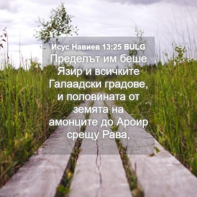 Picture 04 - Исус Навиев 13:25 BULG - Пределът им беше Язир и - Bible Verse Picture