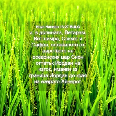 Picture 04 - Исус Навиев 13:27 BULG - и, в долината, Ветарам, - Bible Verse Picture
