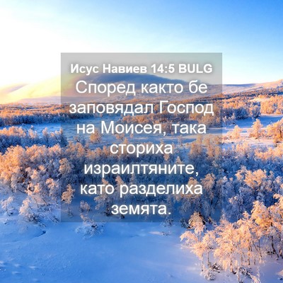 Picture 04 - Исус Навиев 14:5 BULG - Според както бе заповядал - Bible Verse Picture