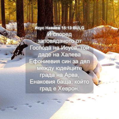 Picture 04 - Исус Навиев 15:13 BULG - И според заповяданото от - Bible Verse Picture
