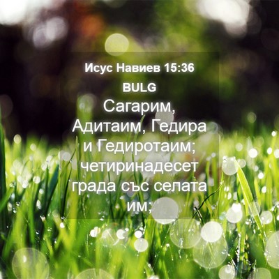 Picture 04 - Исус Навиев 15:36 BULG - Сагарим, Адитаим, Гедира и - Bible Verse Picture
