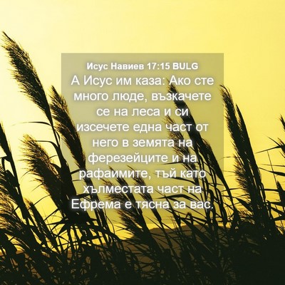Picture 04 - Исус Навиев 17:15 BULG - А Исус им каза: Ако сте - Bible Verse Picture