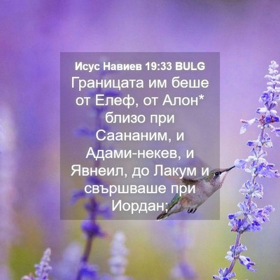 Picture 04 - Исус Навиев 19:33 BULG - Границата им беше от Елеф, - Bible Verse Picture