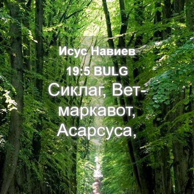 Picture 04 - Исус Навиев 19:5 BULG - Сиклаг, Вет-маркавот, - Bible Verse Picture