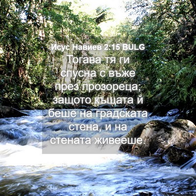 Picture 04 - Исус Навиев 2:15 BULG - Тогава тя ги спусна с въже - Bible Verse Picture