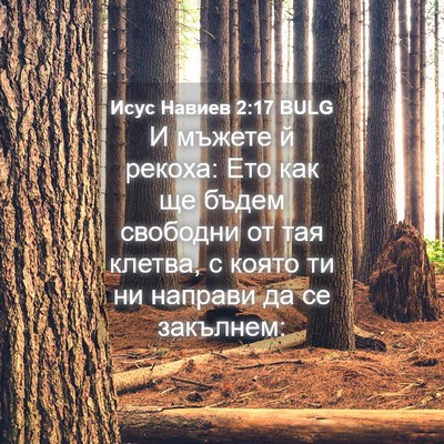Picture 04 - Исус Навиев 2:17 BULG - И мъжете й рекоха: Ето как - Bible Verse Picture