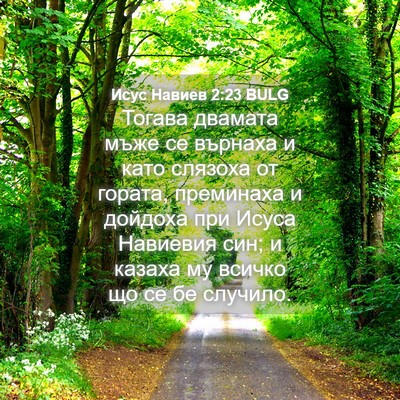 Picture 04 - Исус Навиев 2:23 BULG - Тогава двамата мъже се - Bible Verse Picture