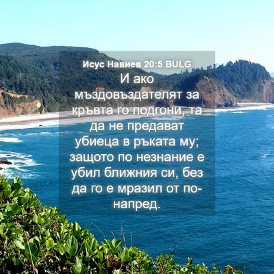 Picture 04 - Исус Навиев 20:5 BULG - И ако мъздовъздателят за - Bible Verse Picture