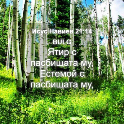 Picture 04 - Исус Навиев 21:14 BULG - Ятир с пасбищата му, - Bible Verse Picture