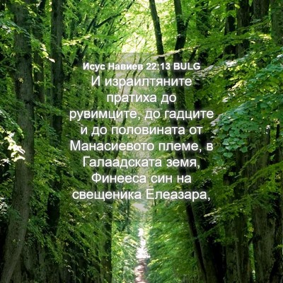 Picture 04 - Исус Навиев 22:13 BULG - И израилтяните пратиха до - Bible Verse Picture