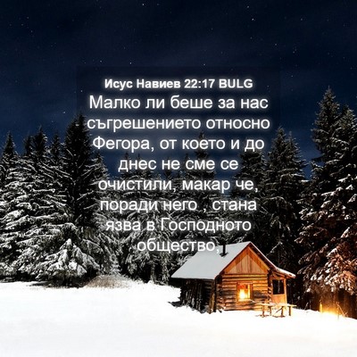 Picture 04 - Исус Навиев 22:17 BULG - Малко ли беше за нас - Bible Verse Picture