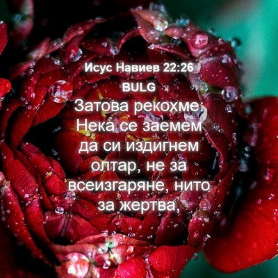 Picture 04 - Исус Навиев 22:26 BULG - Затова рекохме: Нека се - Bible Verse Picture