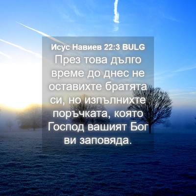 Picture 04 - Исус Навиев 22:3 BULG - През това дълго време до - Bible Verse Picture