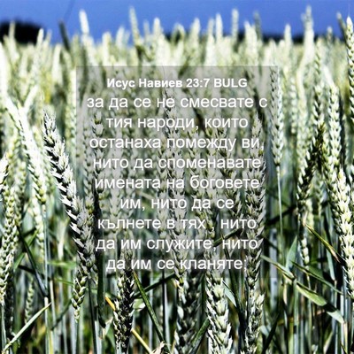 Picture 04 - Исус Навиев 23:7 BULG - за да се не смесвате с тия - Bible Verse Picture