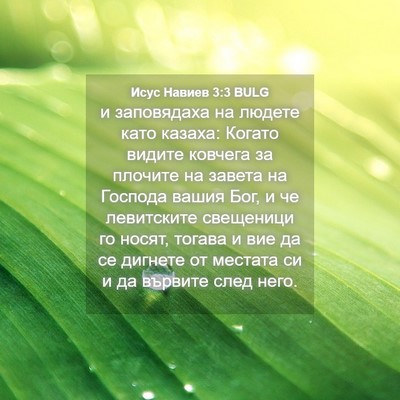 Picture 04 - Исус Навиев 3:3 BULG - и заповядаха на людете - Bible Verse Picture