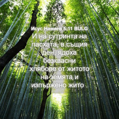 Picture 04 - Исус Навиев 5:11 BULG - И на сутринта на пасхата, в - Bible Verse Picture