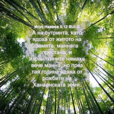 Picture 04 - Исус Навиев 5:12 BULG - А на сутринта, като ядоха - Bible Verse Picture