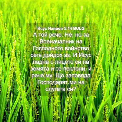 Picture 04 - Исус Навиев 5:14 BULG - А той рече: Не; но за - Bible Verse Picture