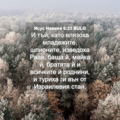 Picture 04 - Исус Навиев 6:23 BULG - И тъй, като влязоха - Bible Verse Picture