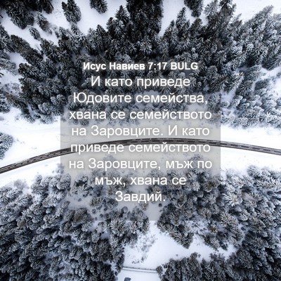 Picture 04 - Исус Навиев 7:17 BULG - И като приведе Юдовите - Bible Verse Picture