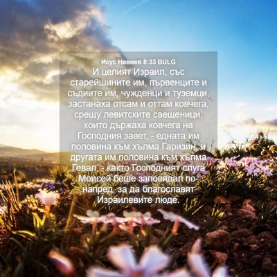 Picture 04 - Исус Навиев 8:33 BULG - И целият Израил, със - Bible Verse Picture
