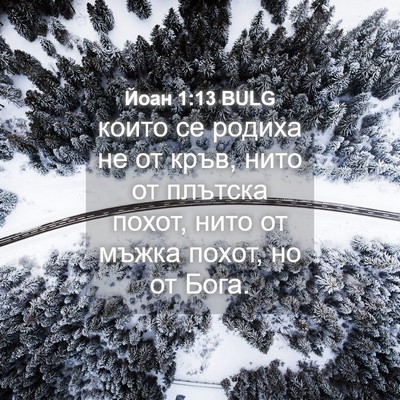 Picture 04 - Йоан 1:13 BULG - които се родиха не от кръв, - Bible Verse Picture