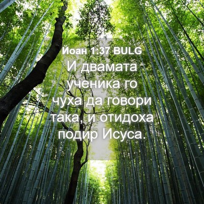 Picture 04 - Йоан 1:37 BULG - И двамата ученика го чуха - Bible Verse Picture