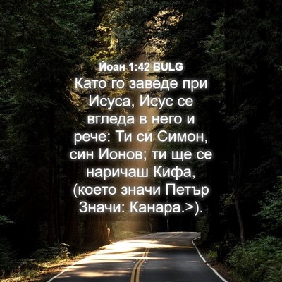 Picture 04 - Йоан 1:42 BULG - Като го заведе при Исуса, - Bible Verse Picture
