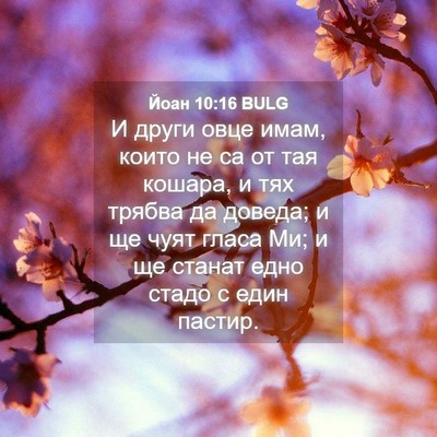 Picture 04 - Йоан 10:16 BULG - И други овце имам, които не - Bible Verse Picture