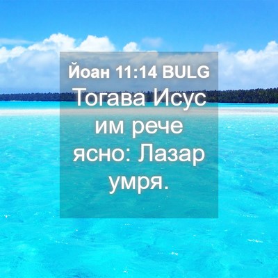 Picture 04 - Йоан 11:14 BULG - Тогава Исус им рече ясно: - Bible Verse Picture
