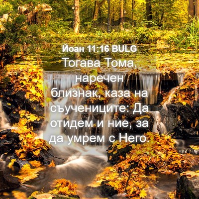 Picture 04 - Йоан 11:16 BULG - Тогава Тома, наречен - Bible Verse Picture