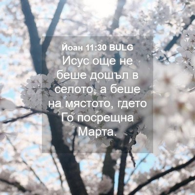 Picture 04 - Йоан 11:30 BULG - Исус още не беше дошъл в - Bible Verse Picture