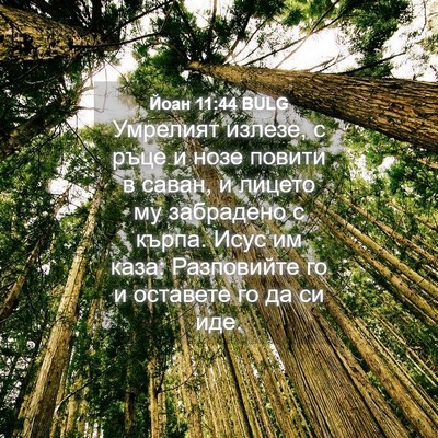 Picture 04 - Йоан 11:44 BULG - Умрелият излезе, с ръце и - Bible Verse Picture